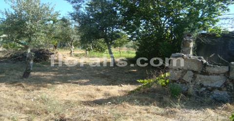 Terreno  Venda em Povolide,Viseu