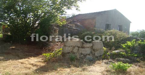 Terreno  Venda em Povolide,Viseu