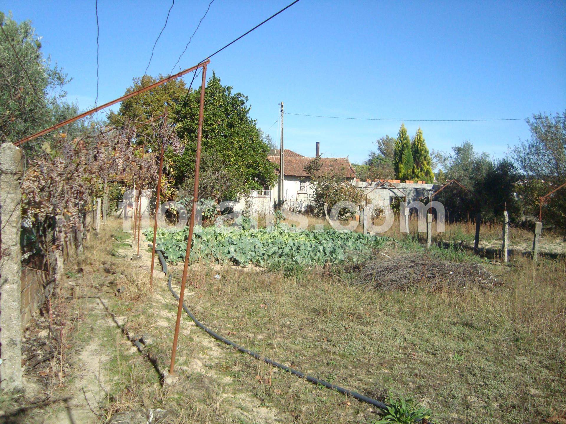 Terreno  Venda em Viseu,Viseu