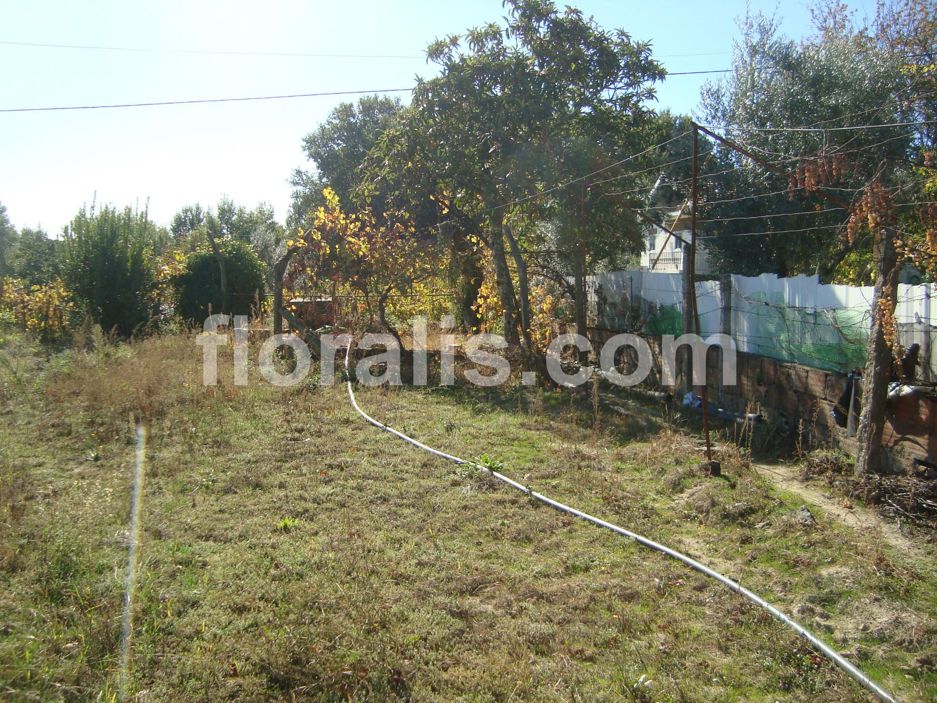 Terreno  Venda em Viseu,Viseu