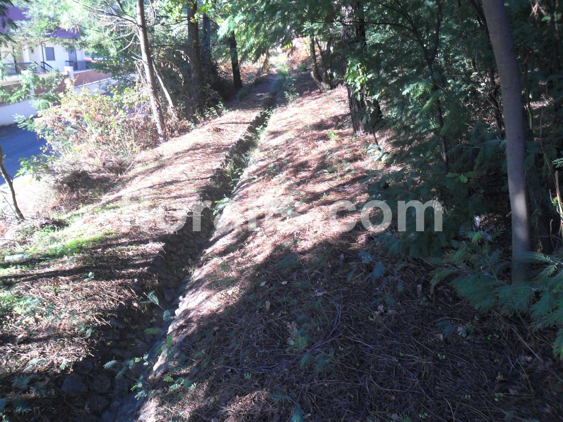 Lote de Terreno  Venda em Bodiosa,Viseu