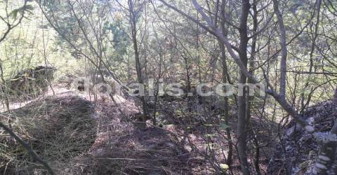 Lote de Terreno  Venda em Bodiosa,Viseu