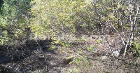 Lote de Terreno  Venda em Bodiosa,Viseu