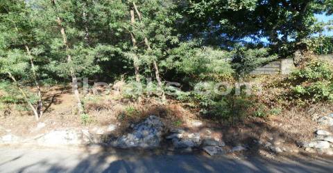 Lote de Terreno  Venda em Bodiosa,Viseu