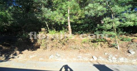 Lote de Terreno  Venda em Bodiosa,Viseu