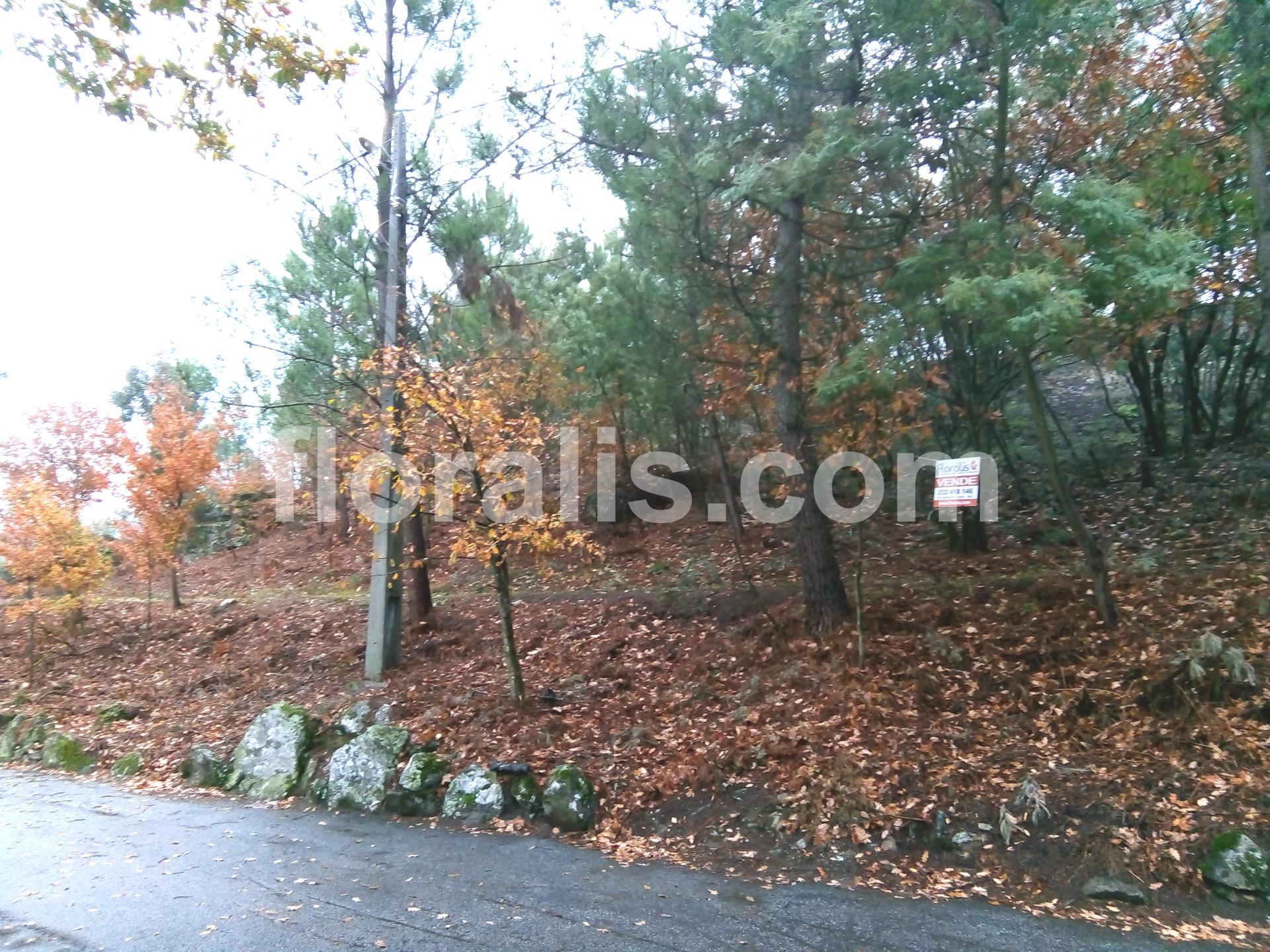 Lote de Terreno  Venda em Bodiosa,Viseu