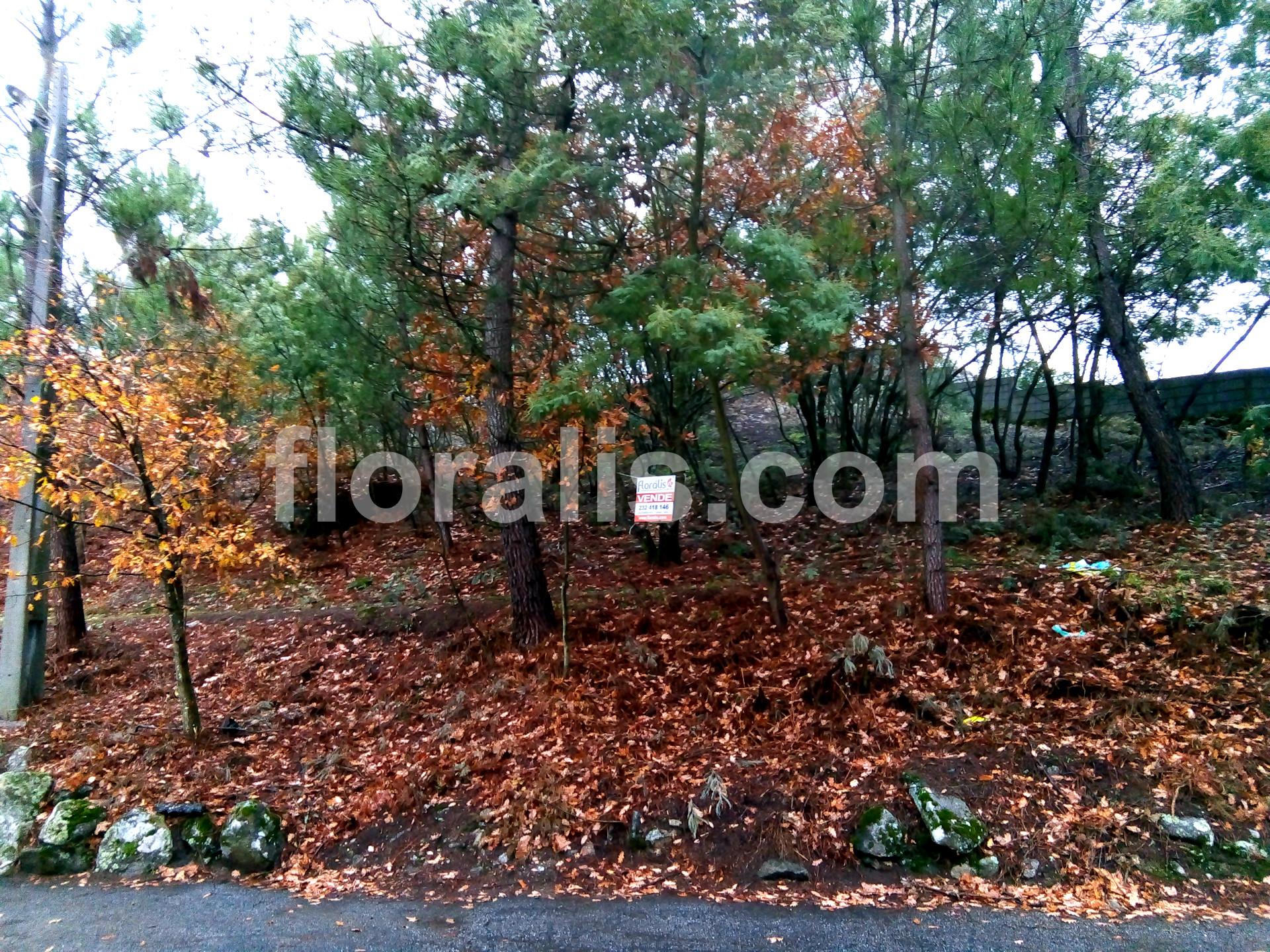 Lote de Terreno  Venda em Bodiosa,Viseu