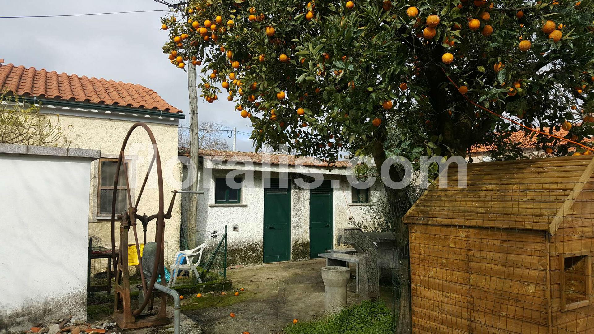 Moradia  Venda em Viseu,Viseu