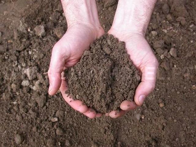 Terreno  Venda em Oliveira do Bairro,Oliveira do Bairro