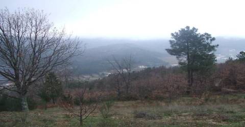 Quinta  Venda em Teixoso e Sarzedo,Covilhã