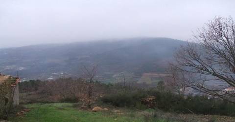 Quinta  Venda em Teixoso e Sarzedo,Covilhã