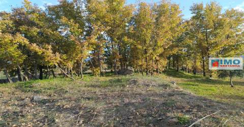 Quinta - Junto ao Fundão