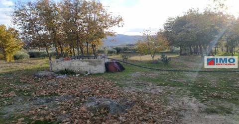 Quinta - Junto ao Fundão