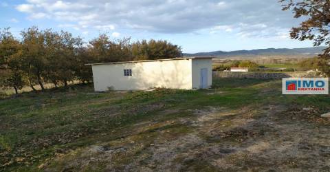 Quinta - Junto ao Fundão