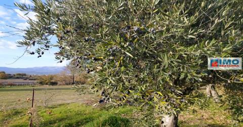 Quinta - Junto ao Fundão