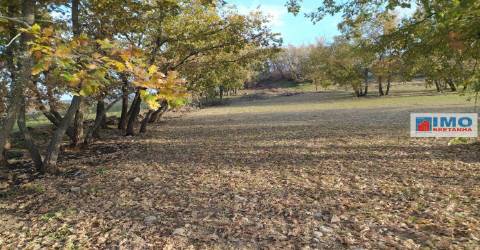 Quinta - Junto ao Fundão