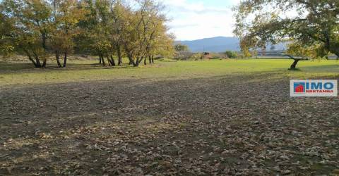 Quinta - Junto ao Fundão