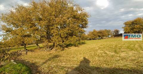 Quinta - Junto ao Fundão