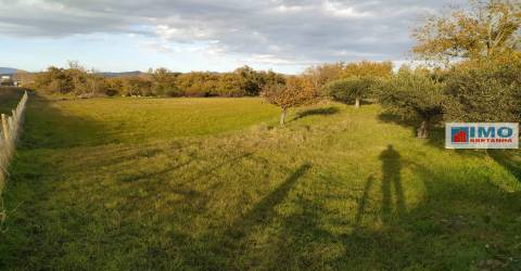 Quinta - Junto ao Fundão