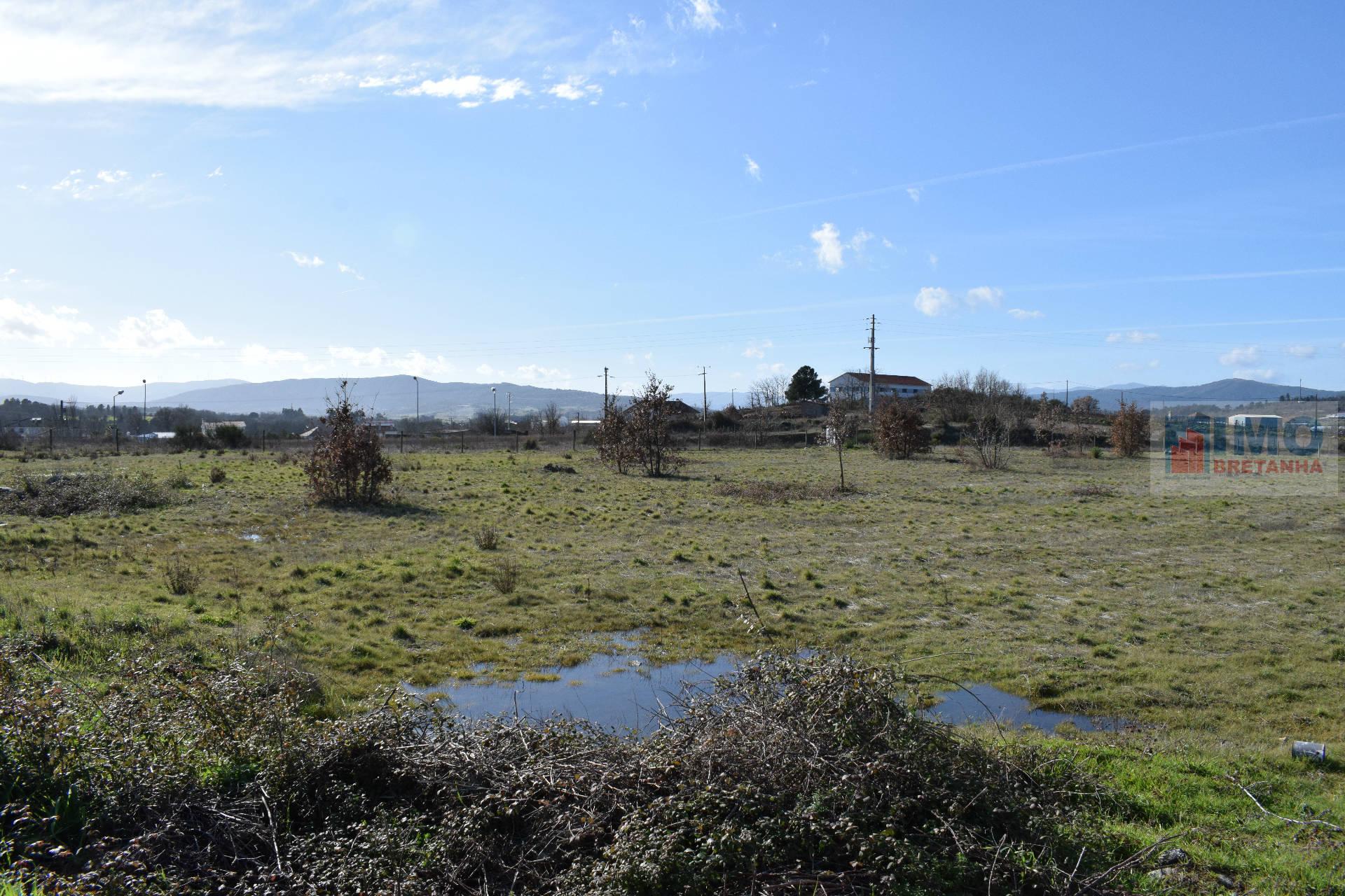 Lote de Terreno  Venda em Alcaria,Fundão