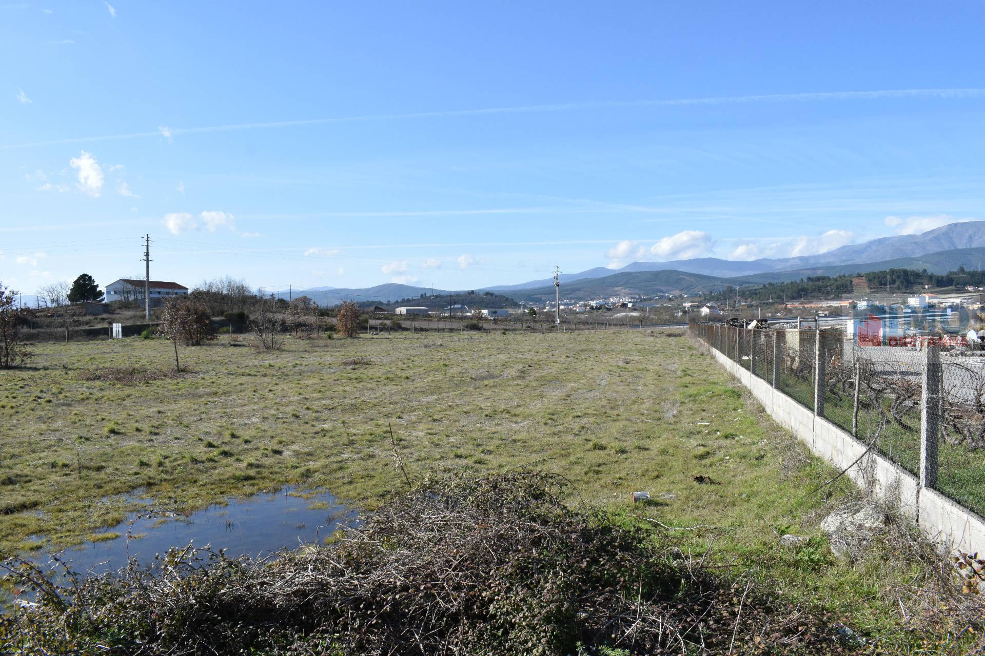 Lote de Terreno  Venda em Alcaria,Fundão