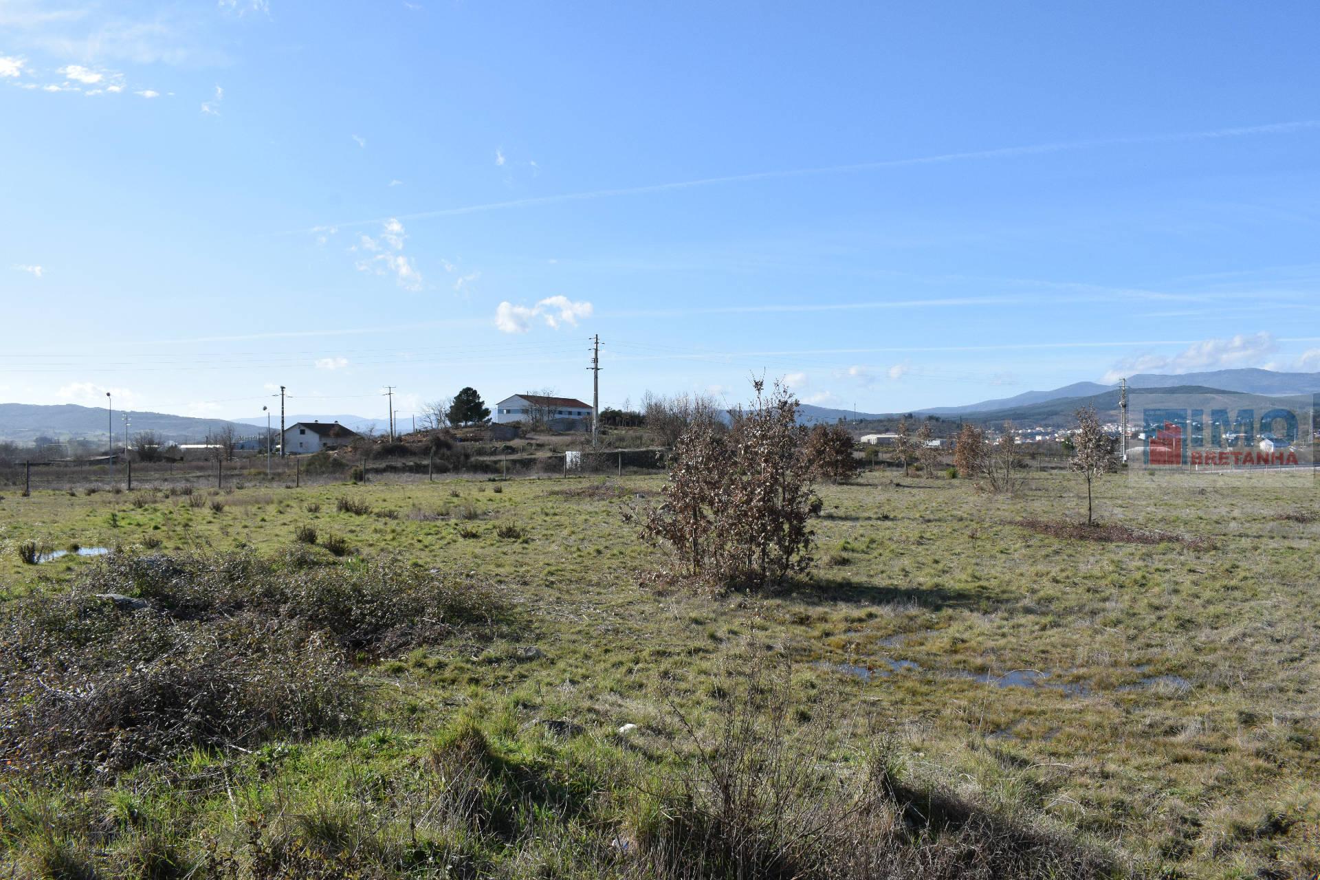 Lote de Terreno  Venda em Alcaria,Fundão