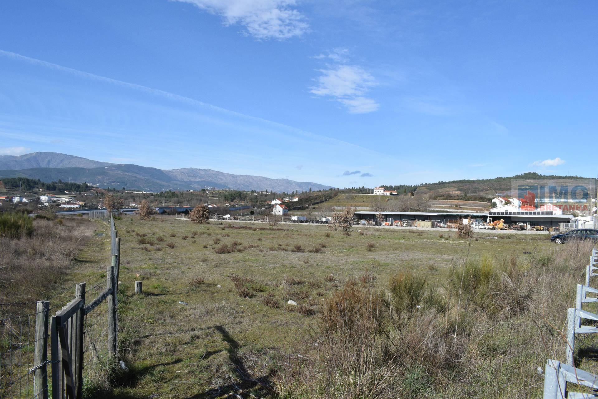 Lote de Terreno  Venda em Alcaria,Fundão