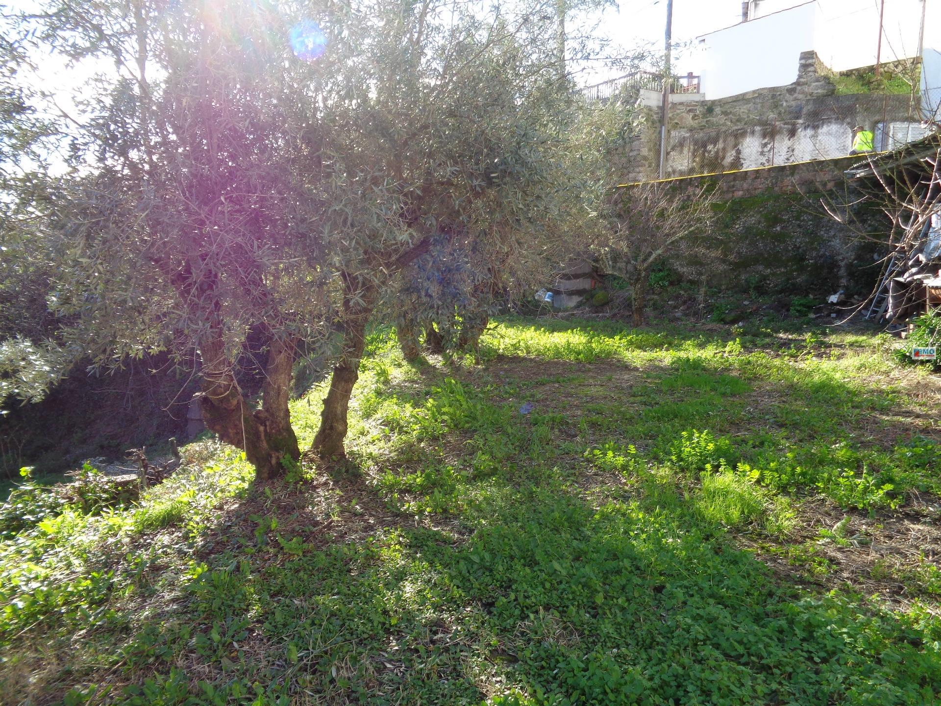 Terreno - Teixoso - 7 min da Covilhã