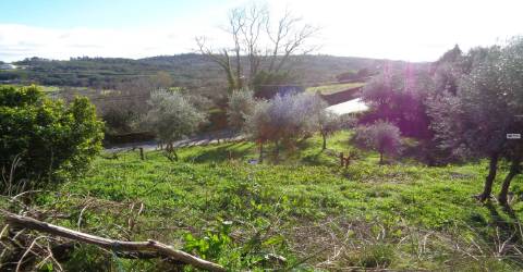 Terreno - Teixoso - 7 min da Covilhã