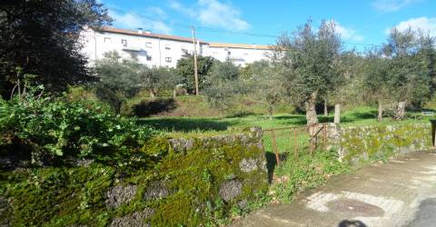 Terreno - Teixoso - 7 min da Covilhã