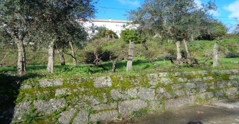 Terreno - Teixoso - 7 min da Covilhã