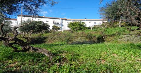 Terreno - Teixoso - 7 min da Covilhã