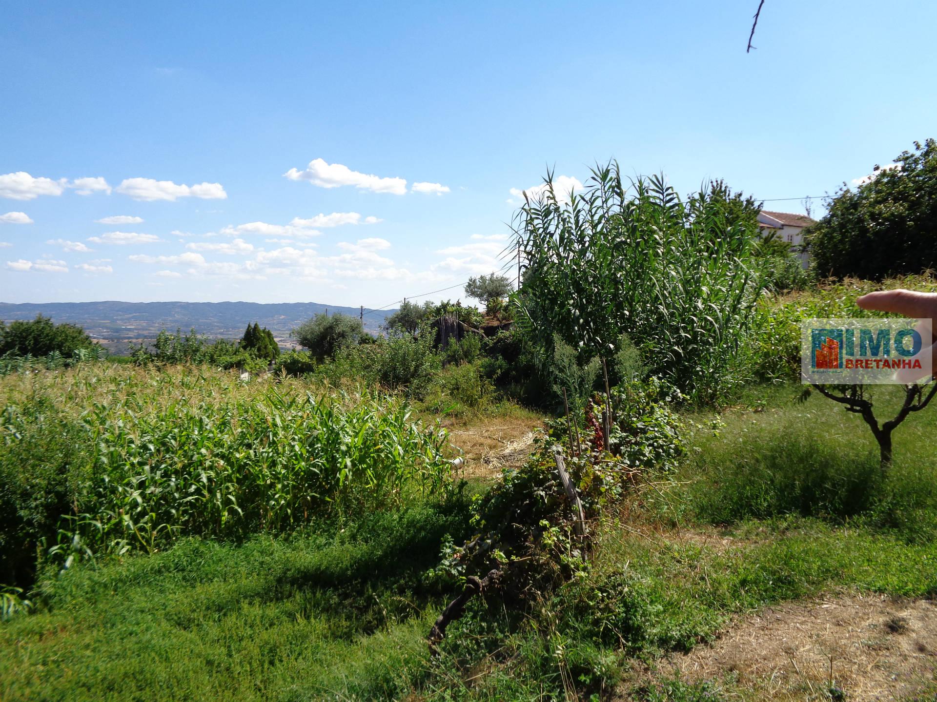 Lote de Terreno  Venda em Cantar-Galo e Vila do Carvalho,Covilhã