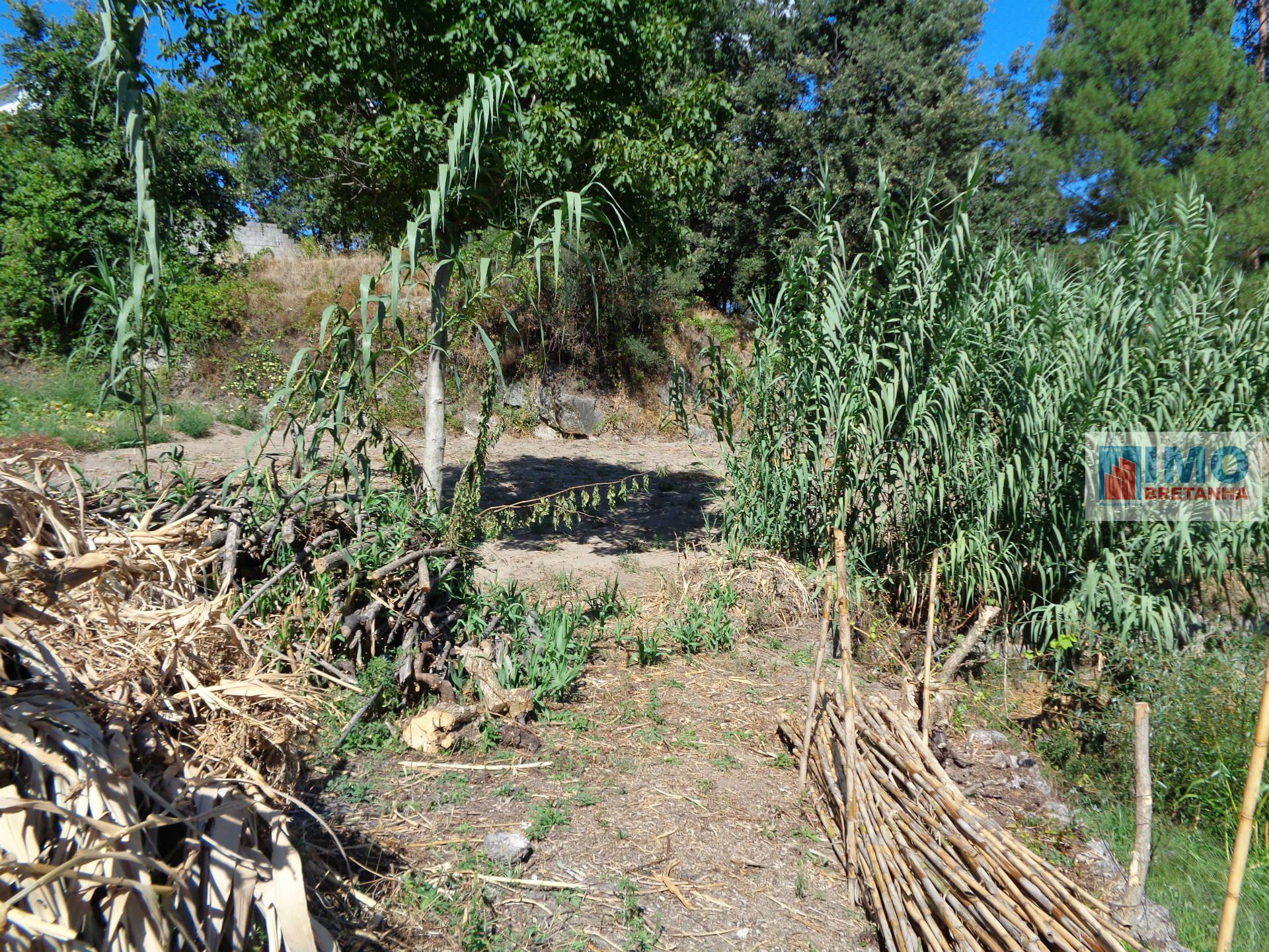 Lote de Terreno  Venda em Cantar-Galo e Vila do Carvalho,Covilhã