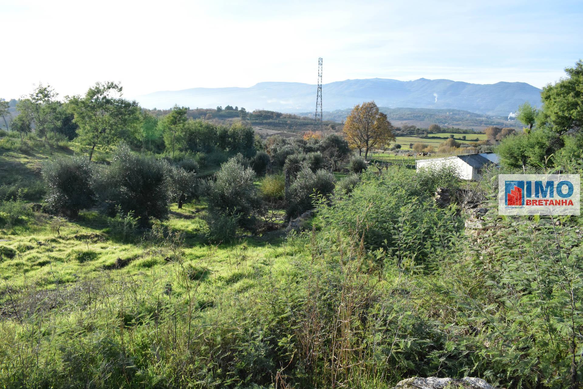 Quinta c/ Casinha - Castanheira (Caria-Peraboa)