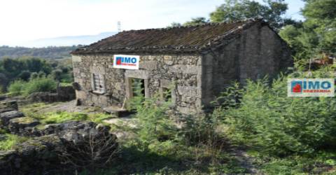 Quinta c/ Casinha - Castanheira (Caria-Peraboa)