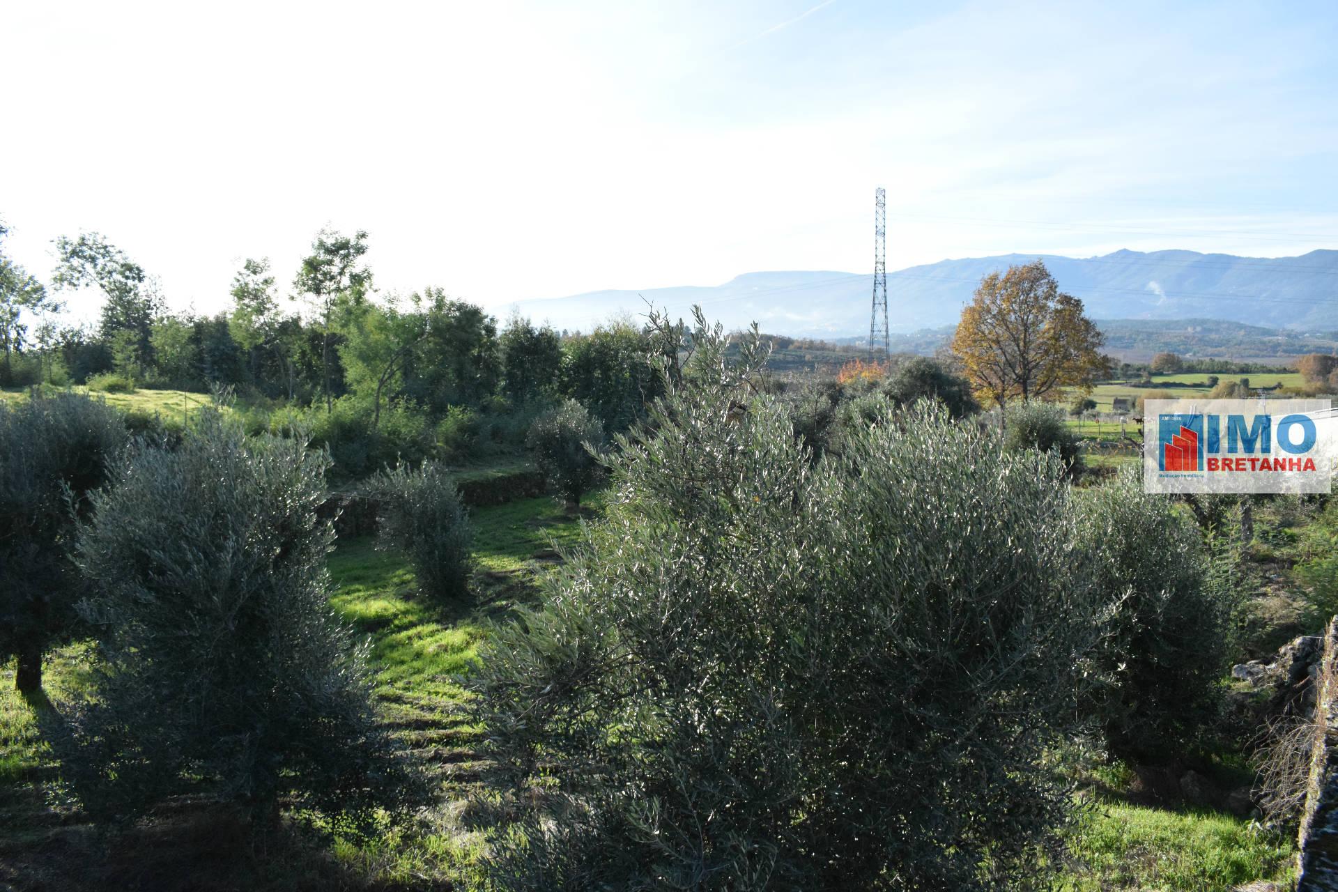 Quinta c/ Casinha - Castanheira (Caria-Peraboa)