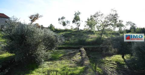 Quinta c/ Casinha - Castanheira (Caria-Peraboa)