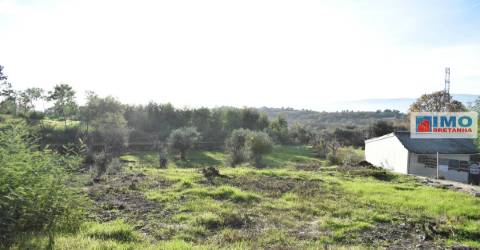 Quinta c/ Casinha - Castanheira (Caria-Peraboa)