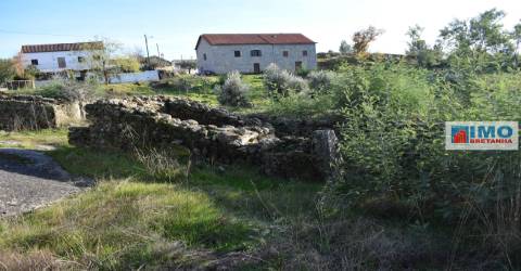 Quinta c/ Casinha - Castanheira (Caria-Peraboa)