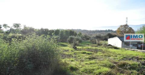 Quinta c/ Casinha - Castanheira (Caria-Peraboa)