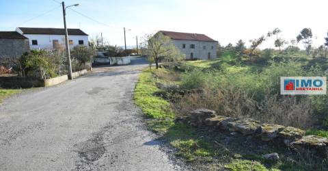 Quinta c/ Casinha - Castanheira (Caria-Peraboa)