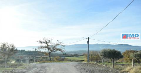 Quinta c/ Casinha - Castanheira (Caria-Peraboa)
