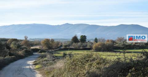 Quinta c/ Casinha - Castanheira (Caria-Peraboa)