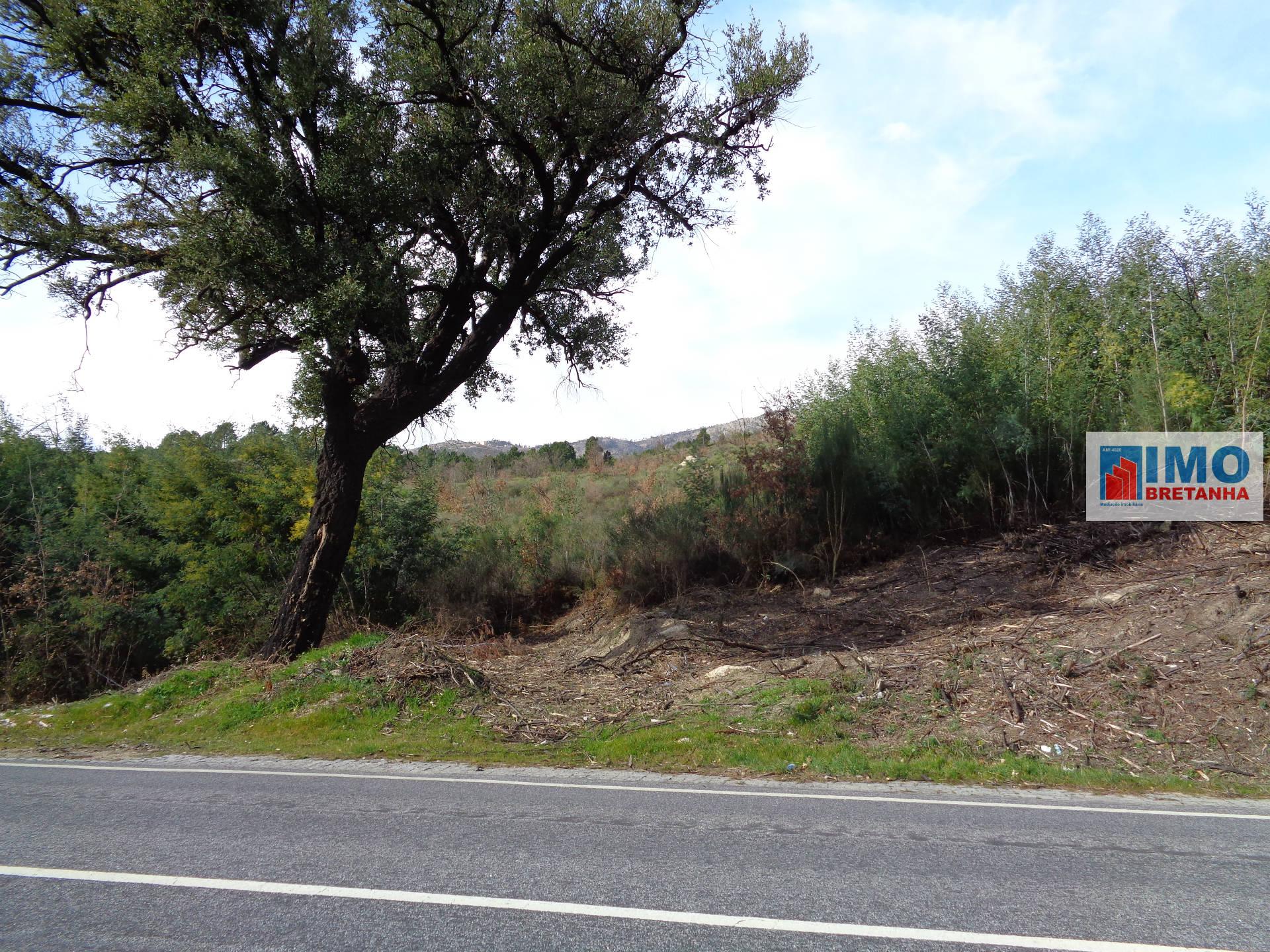 Lote de Terreno  Venda em Covilhã e Canhoso,Covilhã