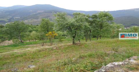 Moradia V1 - Srª do Carmo