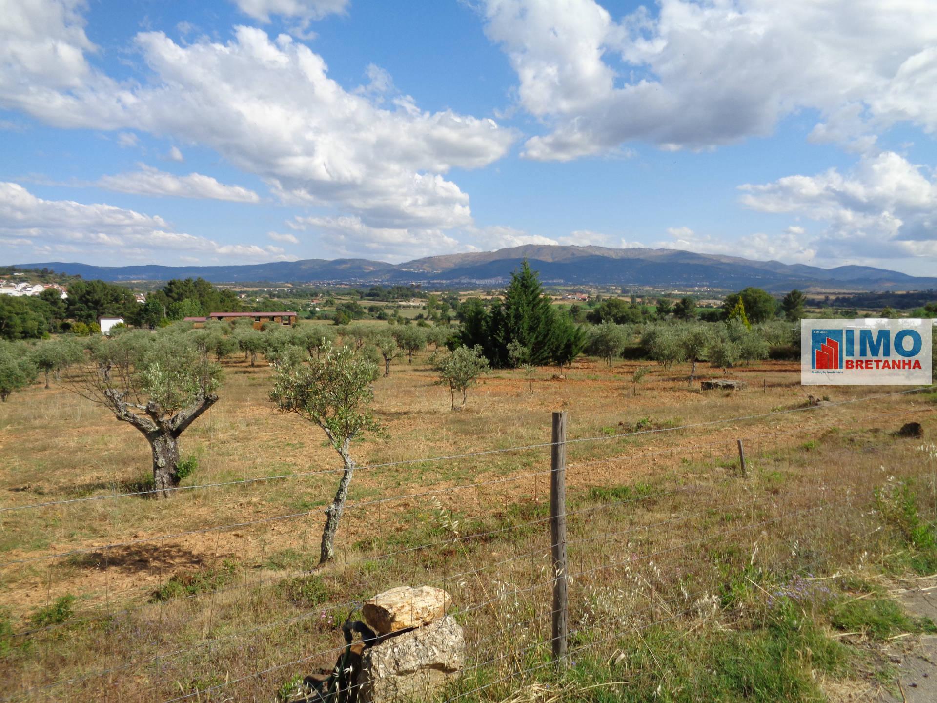 Lote de Terreno Agricola  - Dominguiso