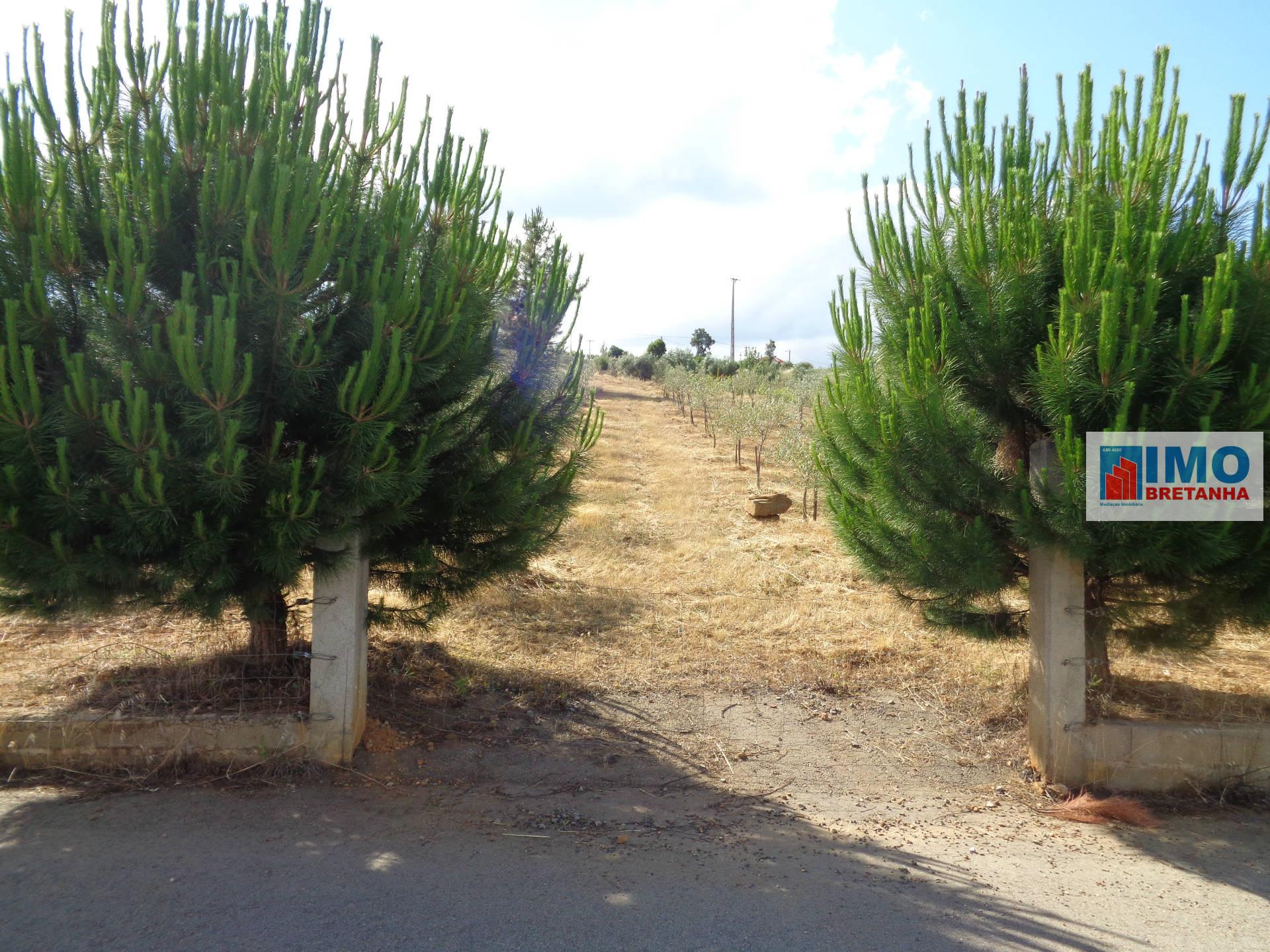 Lote de Terreno Agricola  - Dominguiso