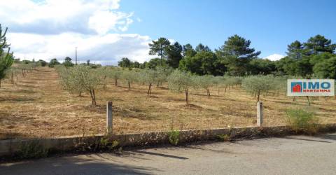 Lote de Terreno Agricola  - Dominguiso