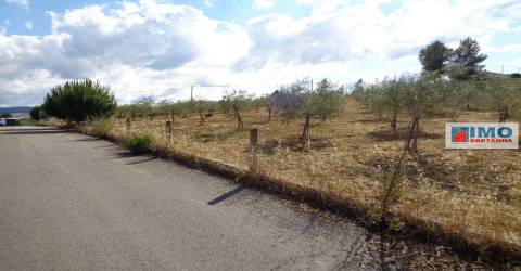 Lote de Terreno Agricola  - Dominguiso